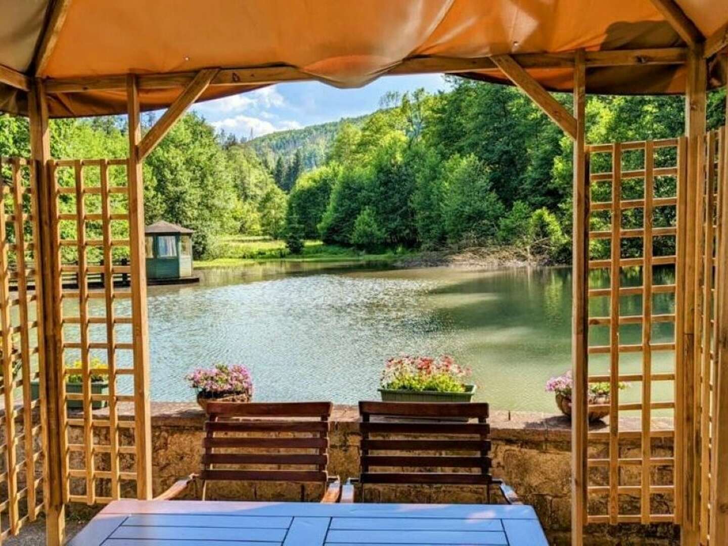 4 Tage Urlaub mit Hund im Waldhotel Silbermühle - Komfort im Naturpark - tgl. Lunch Paket &  Dinner