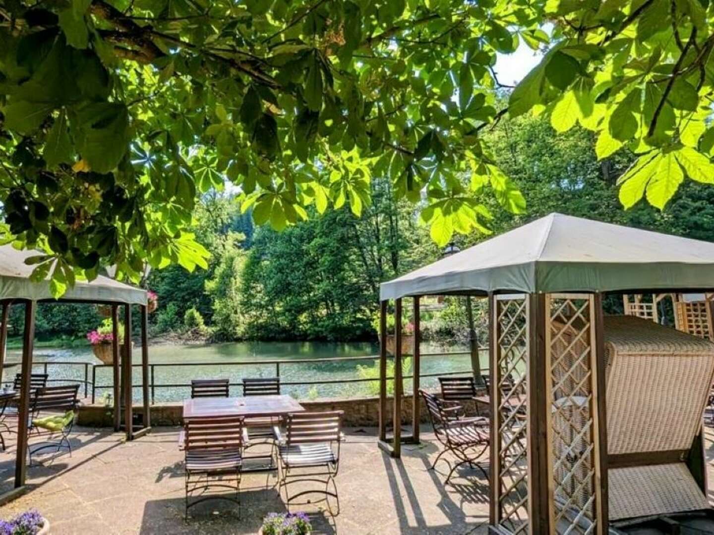 4 Tage Urlaub mit Hund im Waldhotel Silbermühle - Komfort im Naturpark - tgl. Lunch Paket &  Dinner