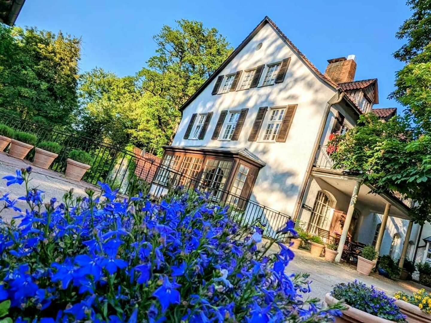 4 Tage Urlaub mit Hund im Waldhotel Silbermühle - Komfort im Naturpark - tgl. Lunch Paket &  Dinner