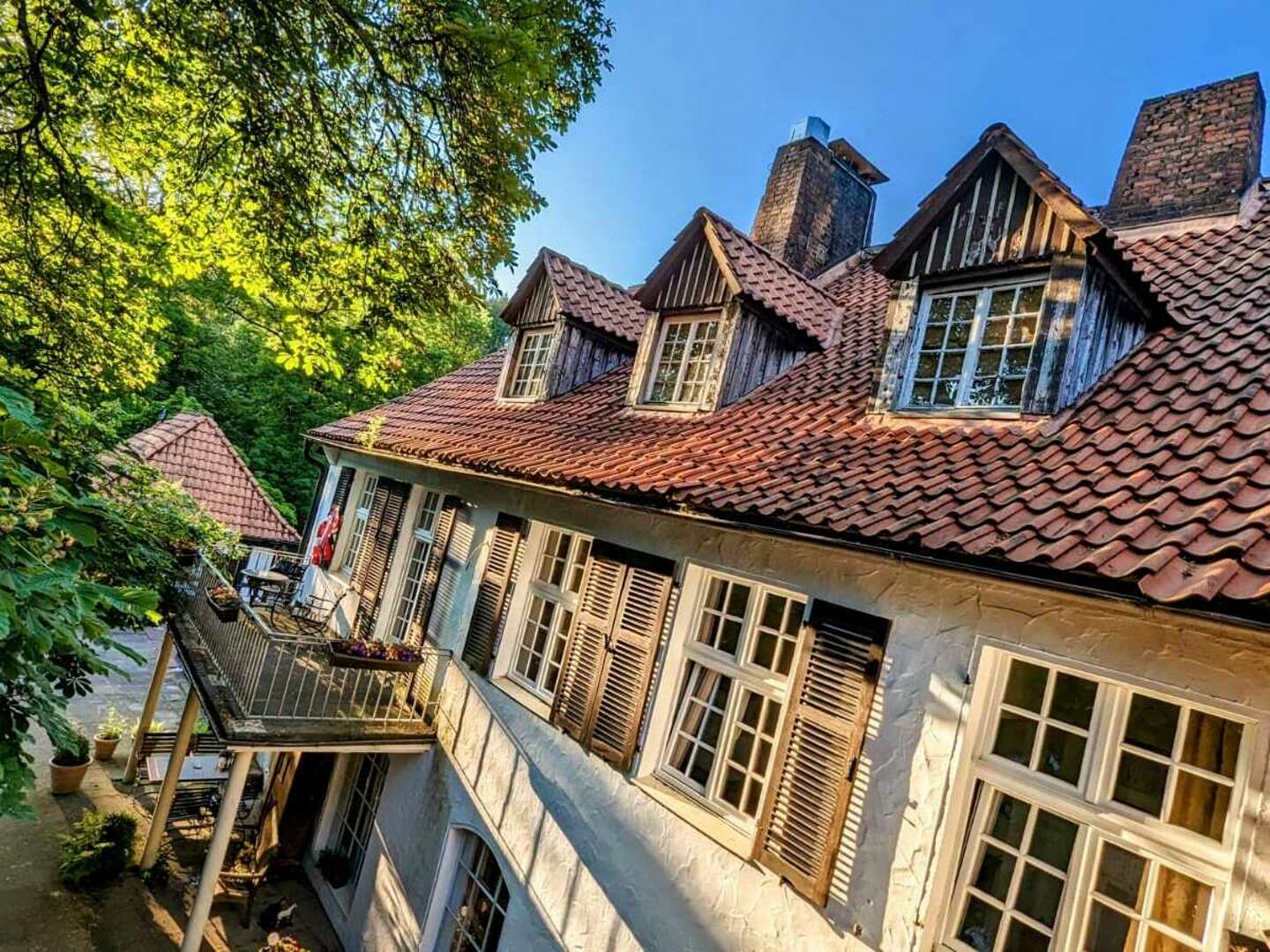 4 Tage Urlaub mit Hund im Waldhotel Silbermühle - Komfort im Naturpark - tgl. Lunch Paket &  Dinner