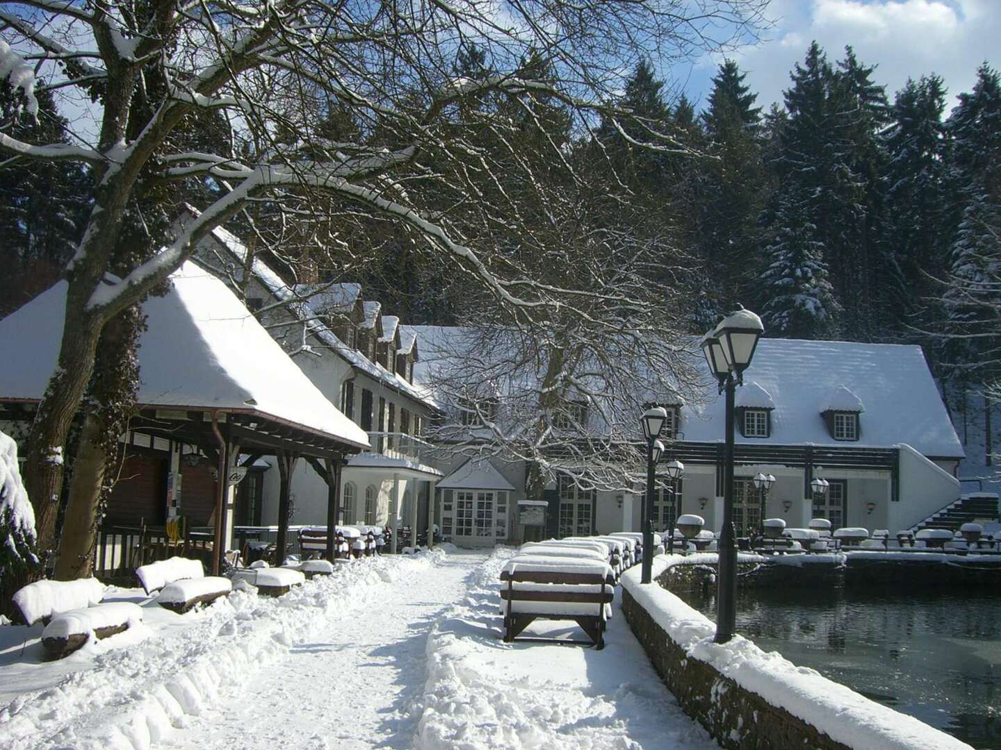 4 Tage Urlaub mit Hund im Waldhotel Silbermühle - Komfort im Naturpark - tgl. Lunch Paket &  Dinner