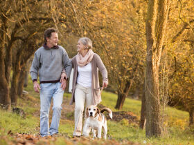 Erholung pur April Angebot - 3 Tage im Silberbachtal im Teutoburger Wald  