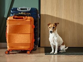 Pfötchenurlaub – 6 Tage Erholung für Zwei- und Vierbeiner