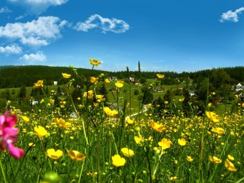 3 Tage Wandern auf dem Kammweg