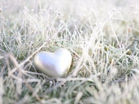 Traumtage zum Sparpreis 