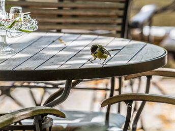 Für Genießer: Erholsame Auszeit im Waldhotel Bad Sulzburg