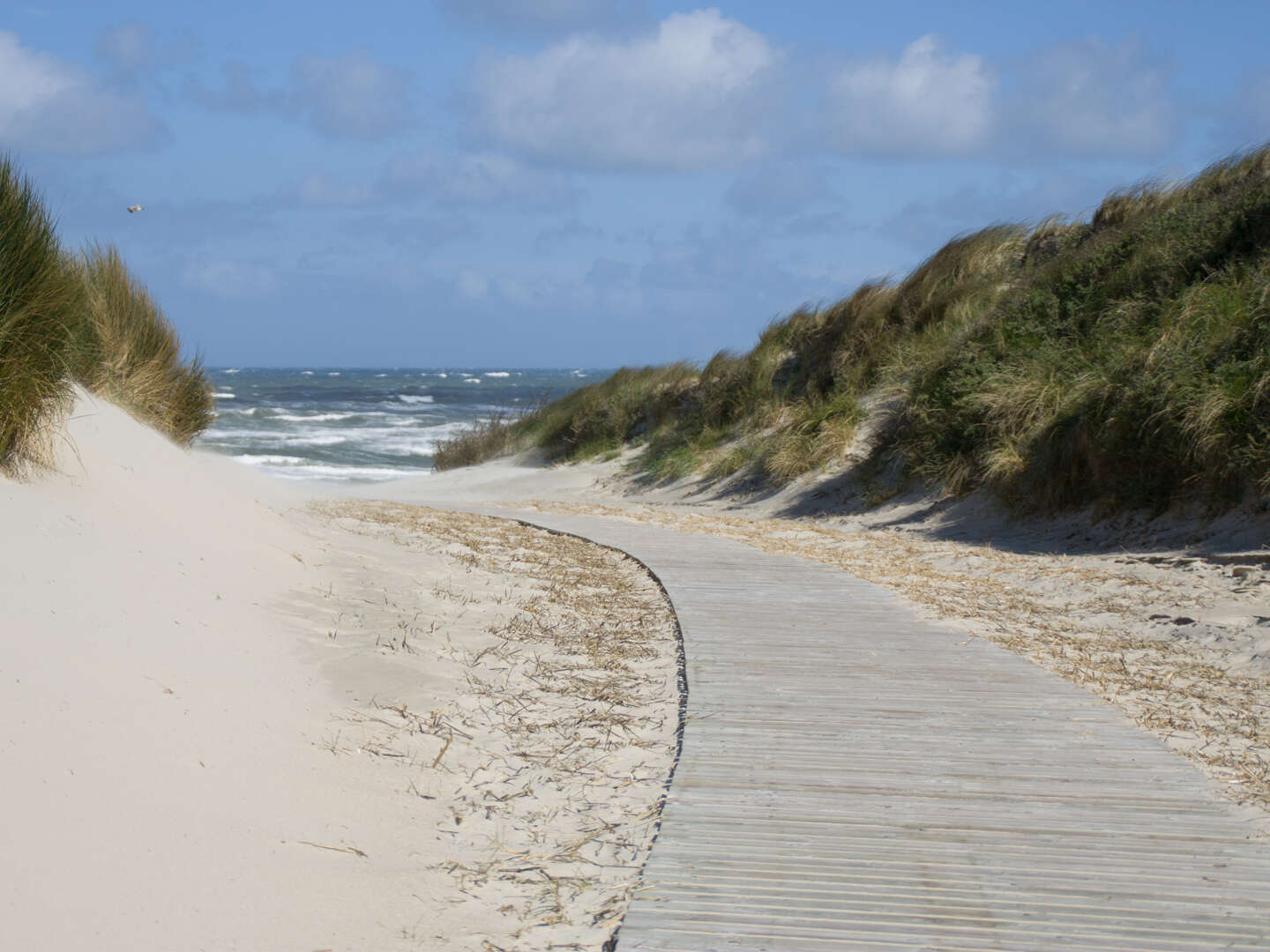 Für 5 Winter- Tage an die Nordsee und Juist erleben inkl. Halbpension