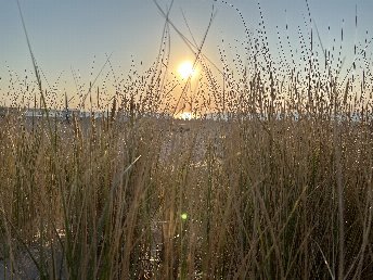 4 Tage Sonntag