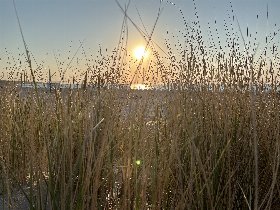 Silvester / Neujahr mit Turmleuchten in Warnemünde