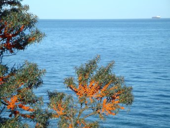 Goldener Herbst - Urlaub an der Ostseeküste