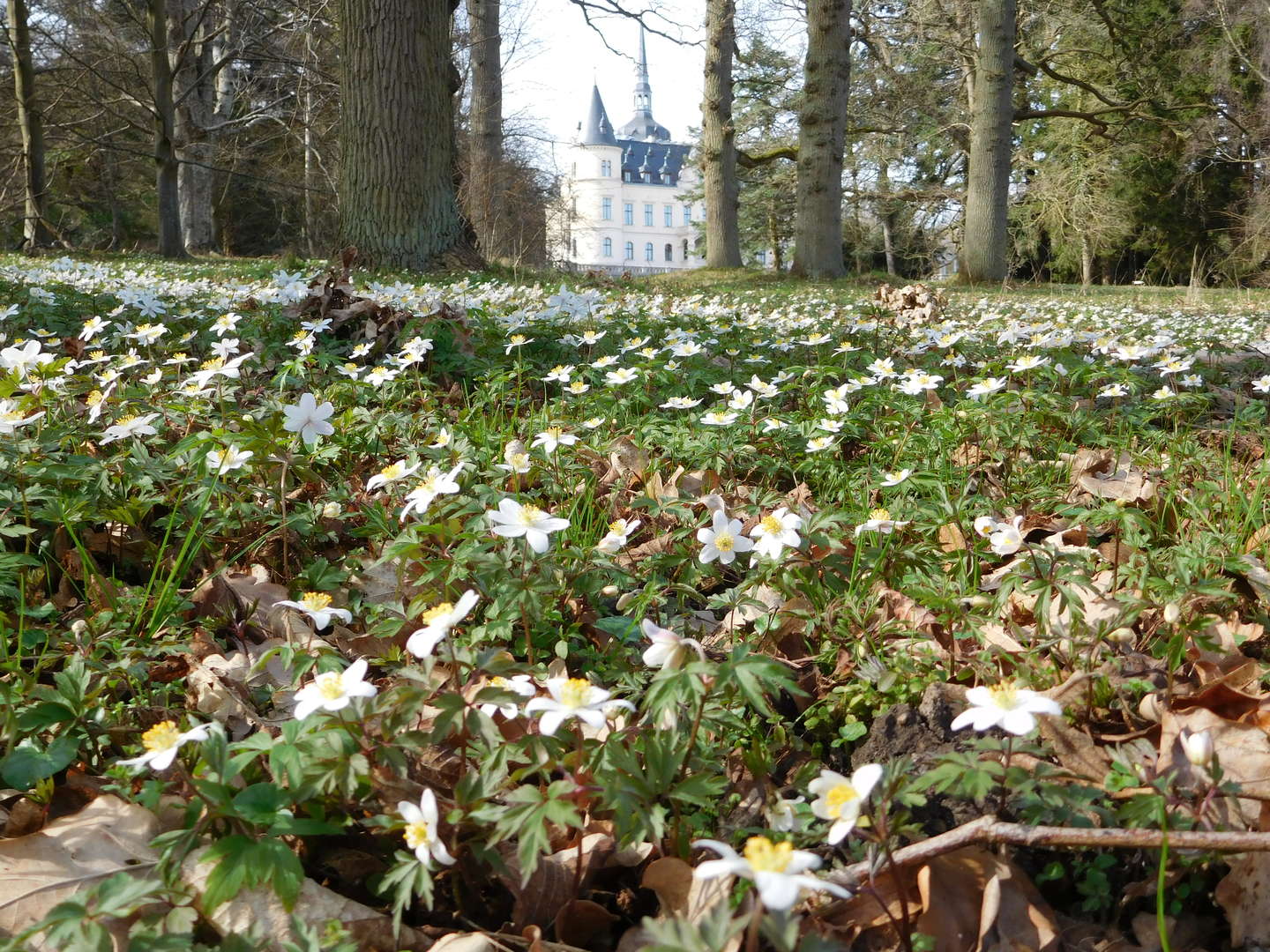 Schlossromantik auf Rügen - 6 Nächte