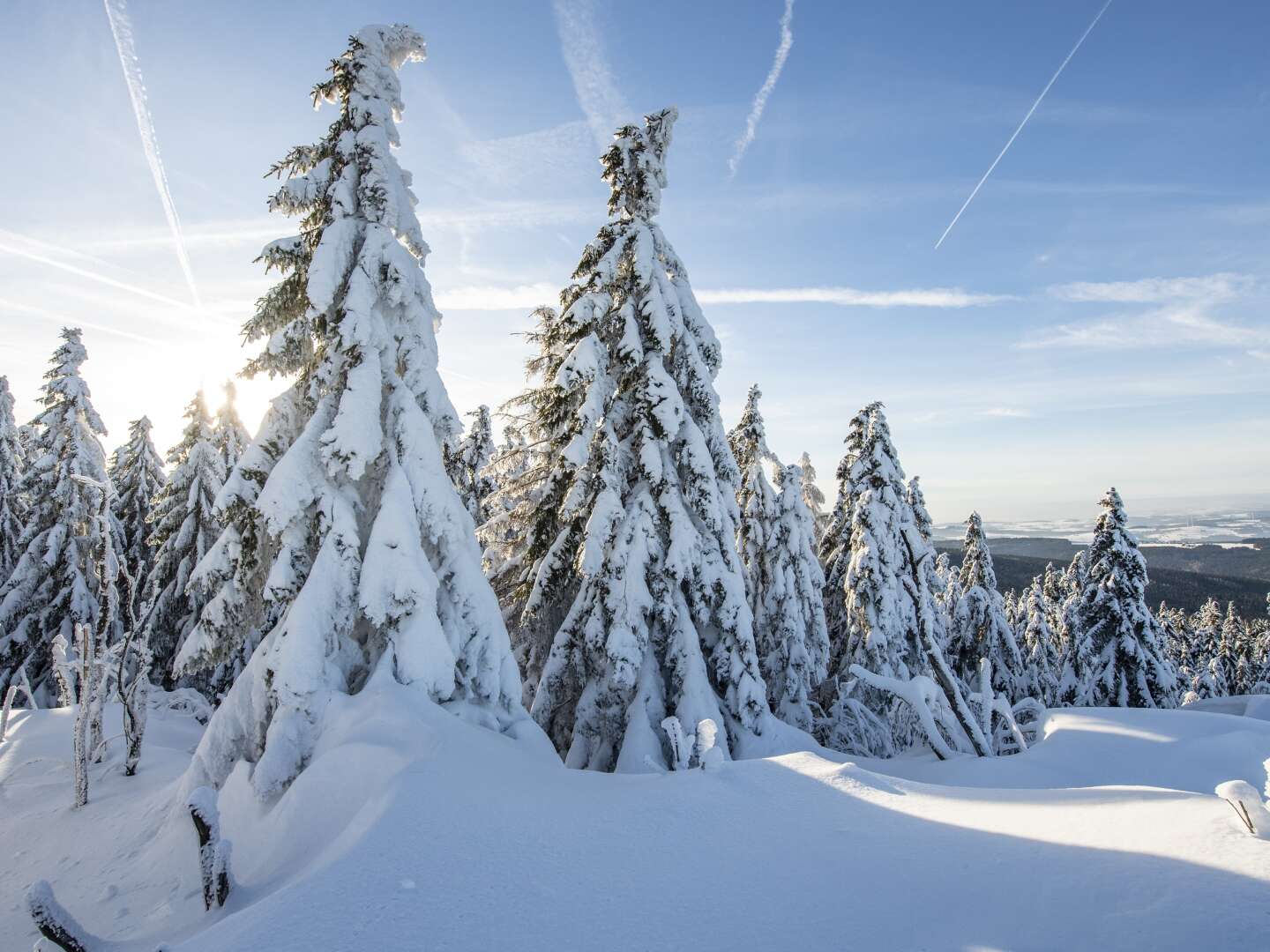 kleine Winter-Wanderung (Donnerstag - Sonntag)