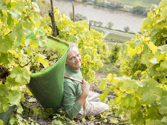 SILVESTER an der Mosel