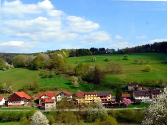  “Auf den Spuren von Burgen und Schlösser“  im romantischen Odenwald inkl. HP