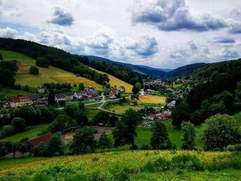  “Auf den Spuren von Burgen und Schlösser“  im romantischen Odenwald inkl. HP