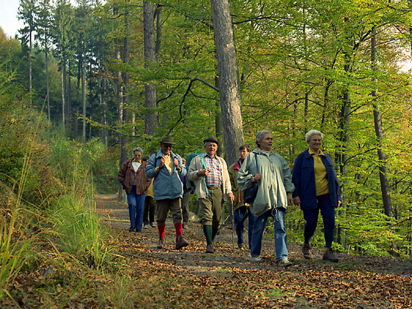 Aktiv-Tage mit Wandern oder Nordic Walking ,,Hier läuft der Trend