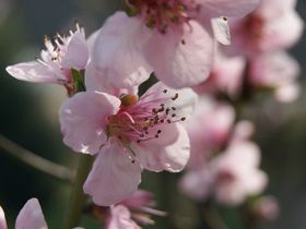 Sommerrabatt | Verwöhnwochenende an der Mosel inklusive Weinverkostung 