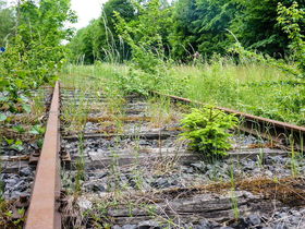 Aktiv & Relax im Sauerland - 5 Tage