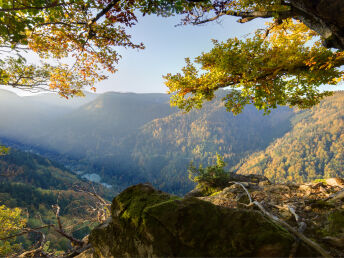 Erholsame Momente im Hochschwarzwald - 4 Tage