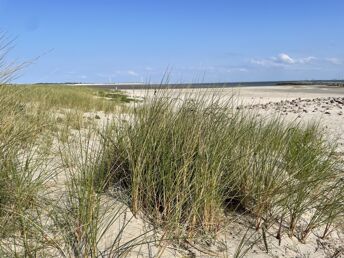 Kurzurlaub auf Borkum