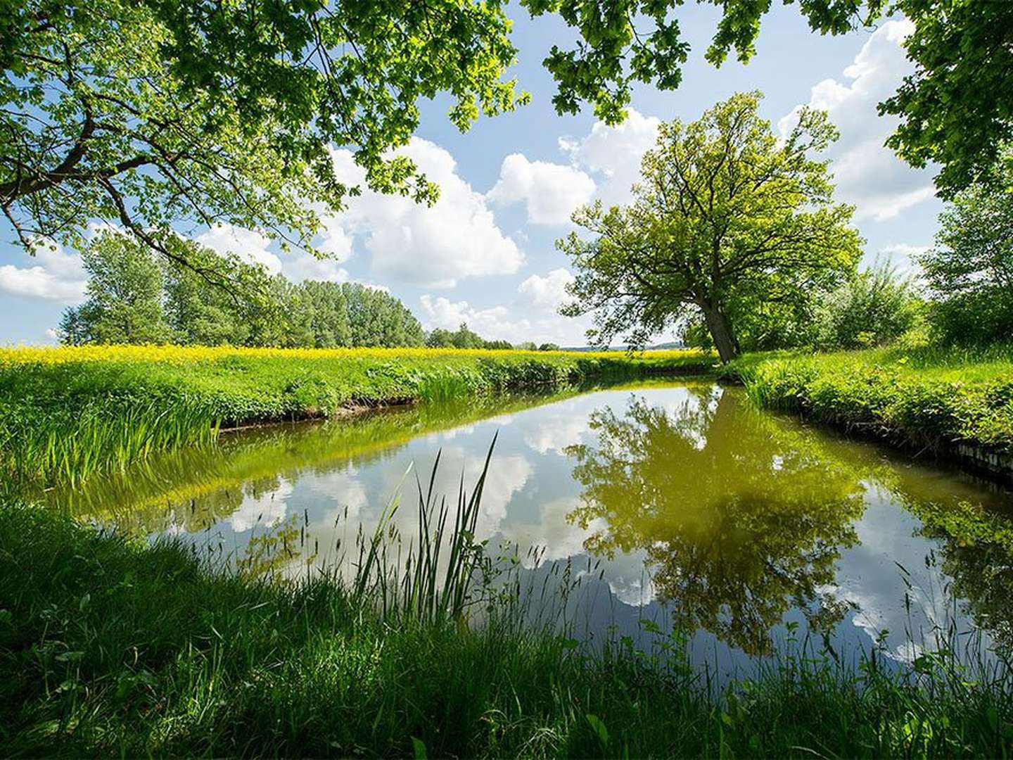 4 Tage Herbstlaub am Teutoburger Wald 