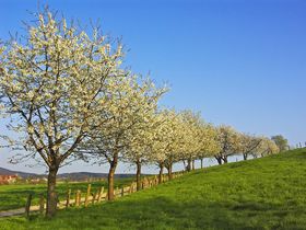 Valentinstag in der Teutoburger Wald Region inkl. Abendessen | 3 Tage 2 Nächte