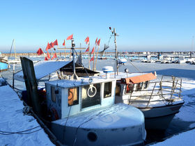 Vorsilvesterarrangement 