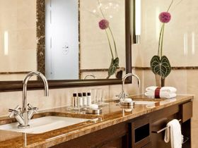 Palmenparadies Therme Euskirchen - Silber