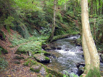 3 Tage Landromantik / Kurzurlaub in Rheinland-Pfalz inkl. Halbpension