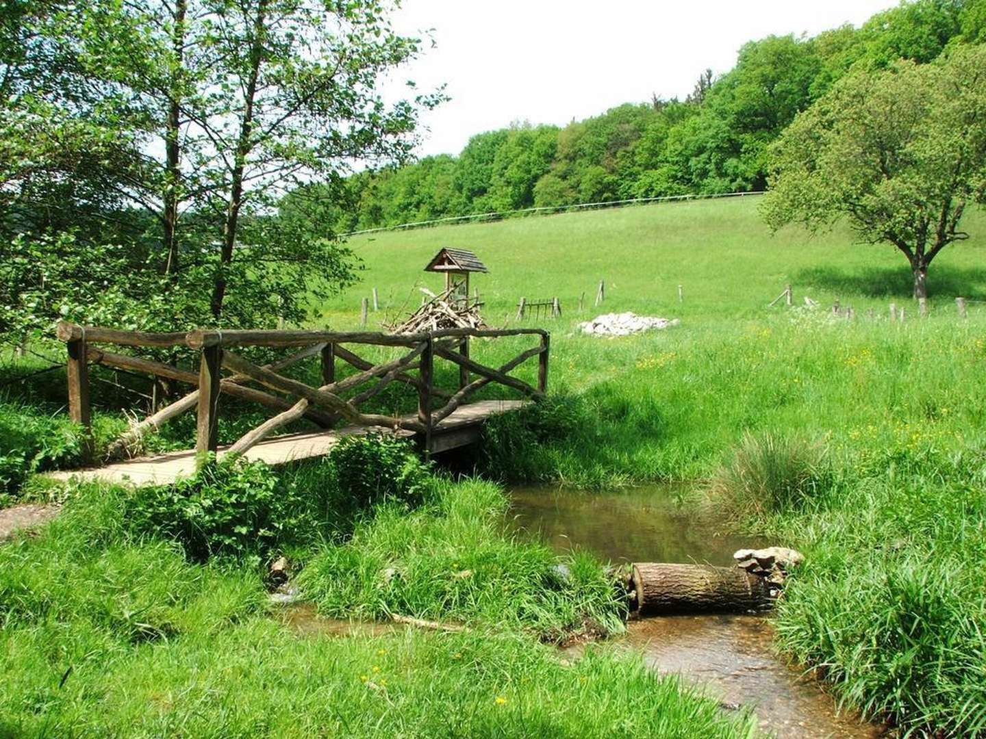 6 Tage Landromantik / Urlaub in Rheinland-Pfalz inkl. Halbpension