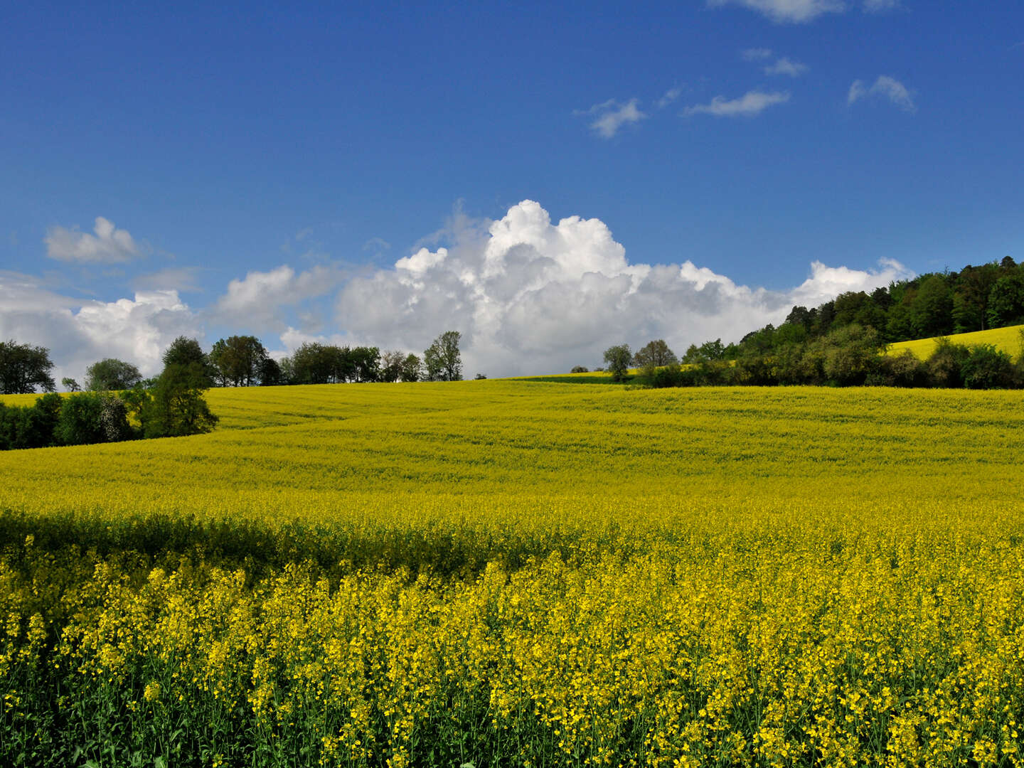 6 Tage Wandern, Radeln oder Biken in Hessen im Rotkäppchenland inkl. Halbpension