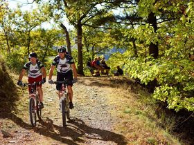 Eifler Rad-Erlebnisse auf dem Mare-Moselweg - 6 Tage inkl. Halbpension