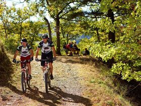 Eifler Rad-Erlebnisse auf dem Mare-Moselweg - 6 Tage inkl. Halbpension
