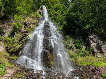 Unser Rhön-Wanderarrangement für Naturliebhaber  7 Tage 