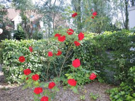 Usedom - Silvester am Meer (5 Nächte) 