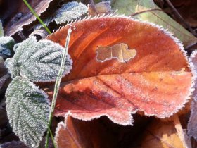 2026 auf Usedom starten (2 Nächte)