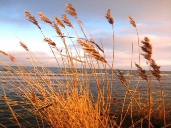 Usedom, Neujahr am Meer (3 Nächte) 