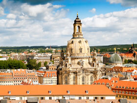 3 Tage - Dresden tierisch erleben inkl. Zooticket & Rundfahrt