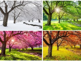 Jahreszeiten-Zauber an der Müritz inkl. Therme & Leihfahrrad I 3 Nächte