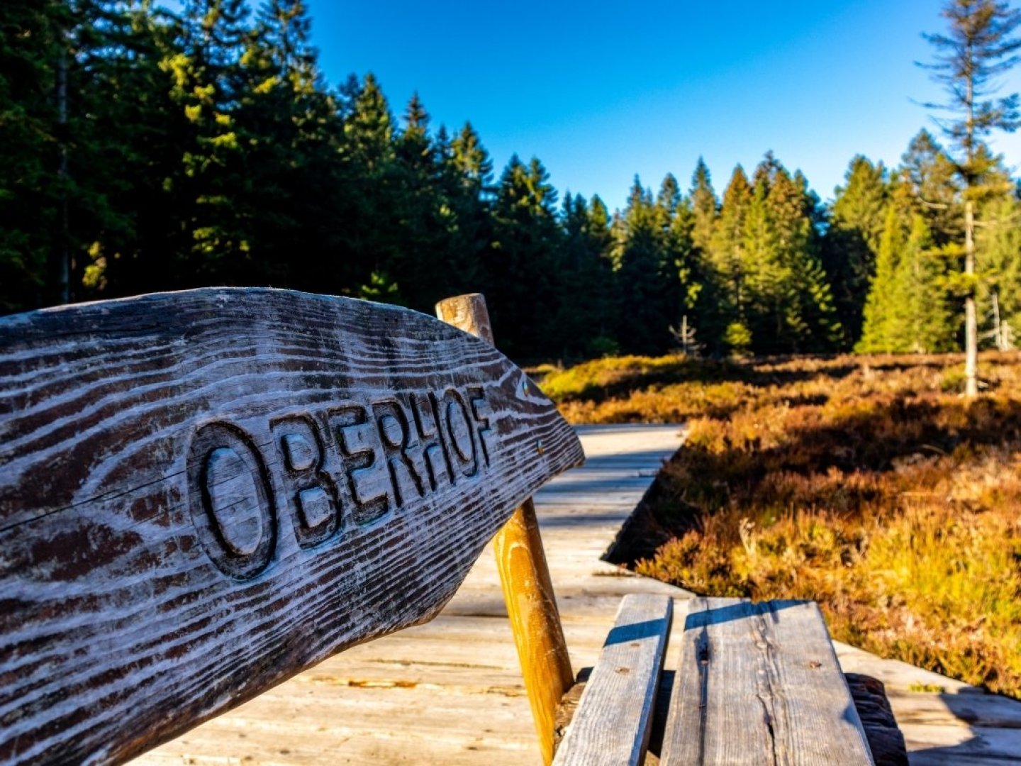 Rennsteigwoche in Oberhof im Thüringer Wald