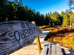 Weihnachten in Wagners Sporthotel Oberhof