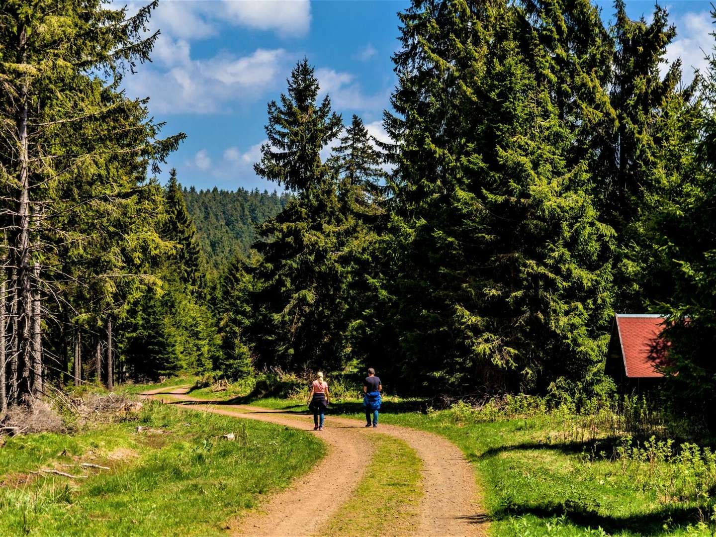 Frühling am Rennsteig - 2 Übernachtungen