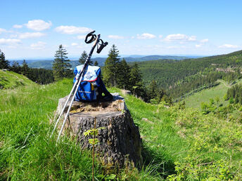 5=4 Natur-Auszeit im Thüringer Wald - 1 Nacht geschenkt!