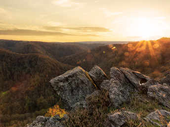 4 Wohlfühltage im Harz - Midweek  