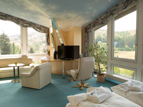 Den Bären auf der Spur