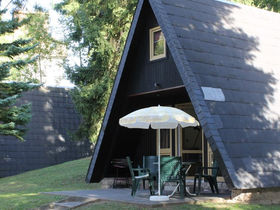 Den Bären auf der Spur