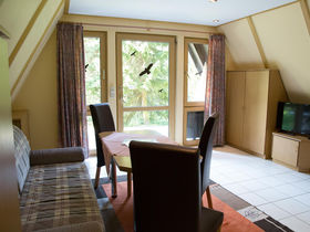 Den Bären auf der Spur