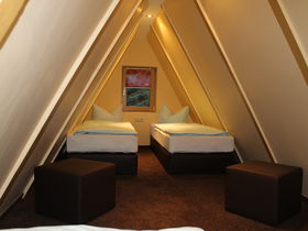 Den Bären auf der Spur