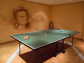 Den Bären auf der Spur