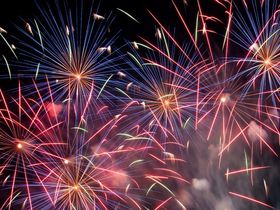 Den Bären auf der Spur